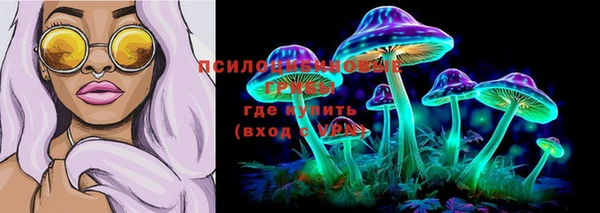 герыч Зеленокумск