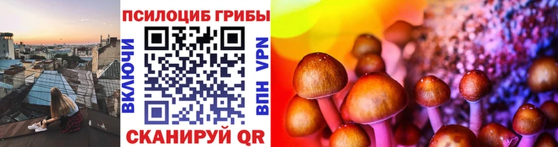 Галлюциногенные грибы GOLDEN TEACHER  Яхрома 