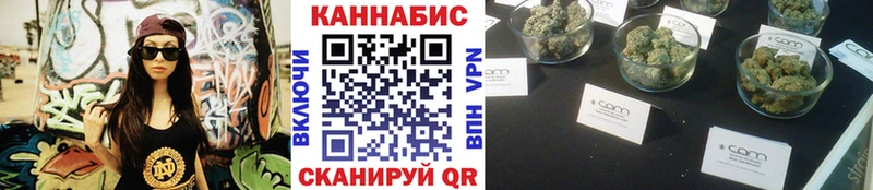 Конопля сатива  Яхрома 